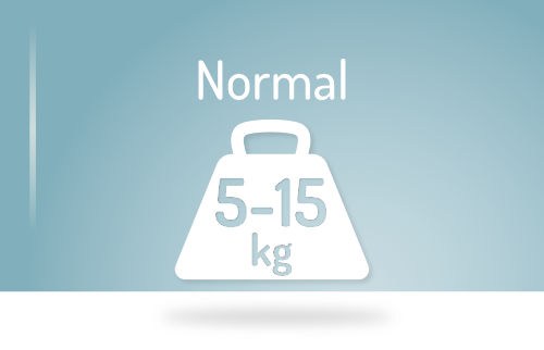 normal4